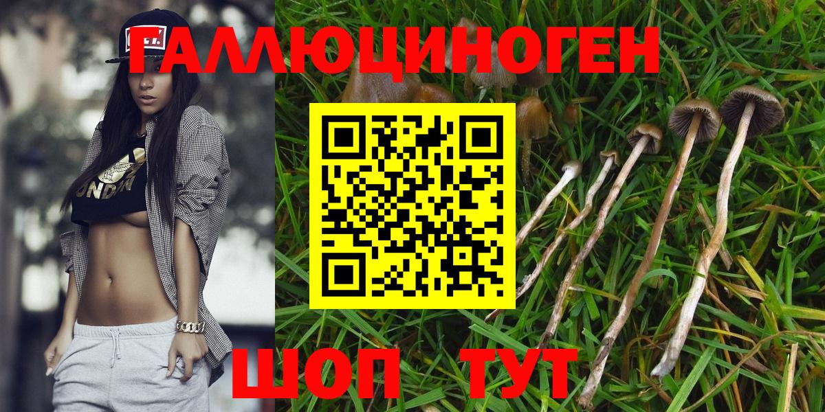 Псилоцибиновые грибы мухоморы  Вход с VPN  Отрадный 