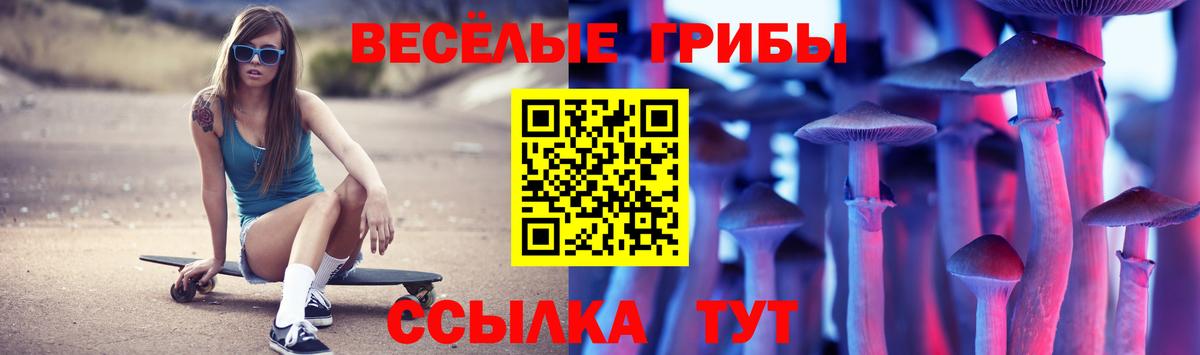 Галлюциногенные грибы Psilocybine cubensis Отрадный